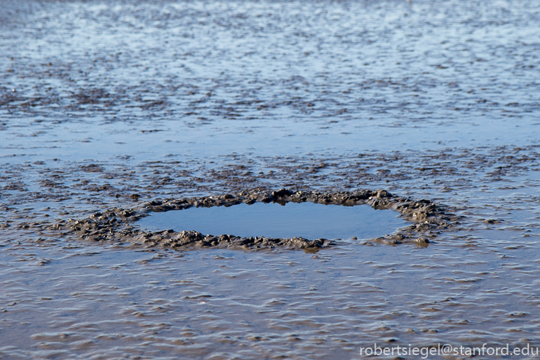 palo alto baylands